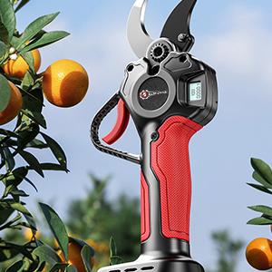 LITHIUM PRUNING SCISSOR