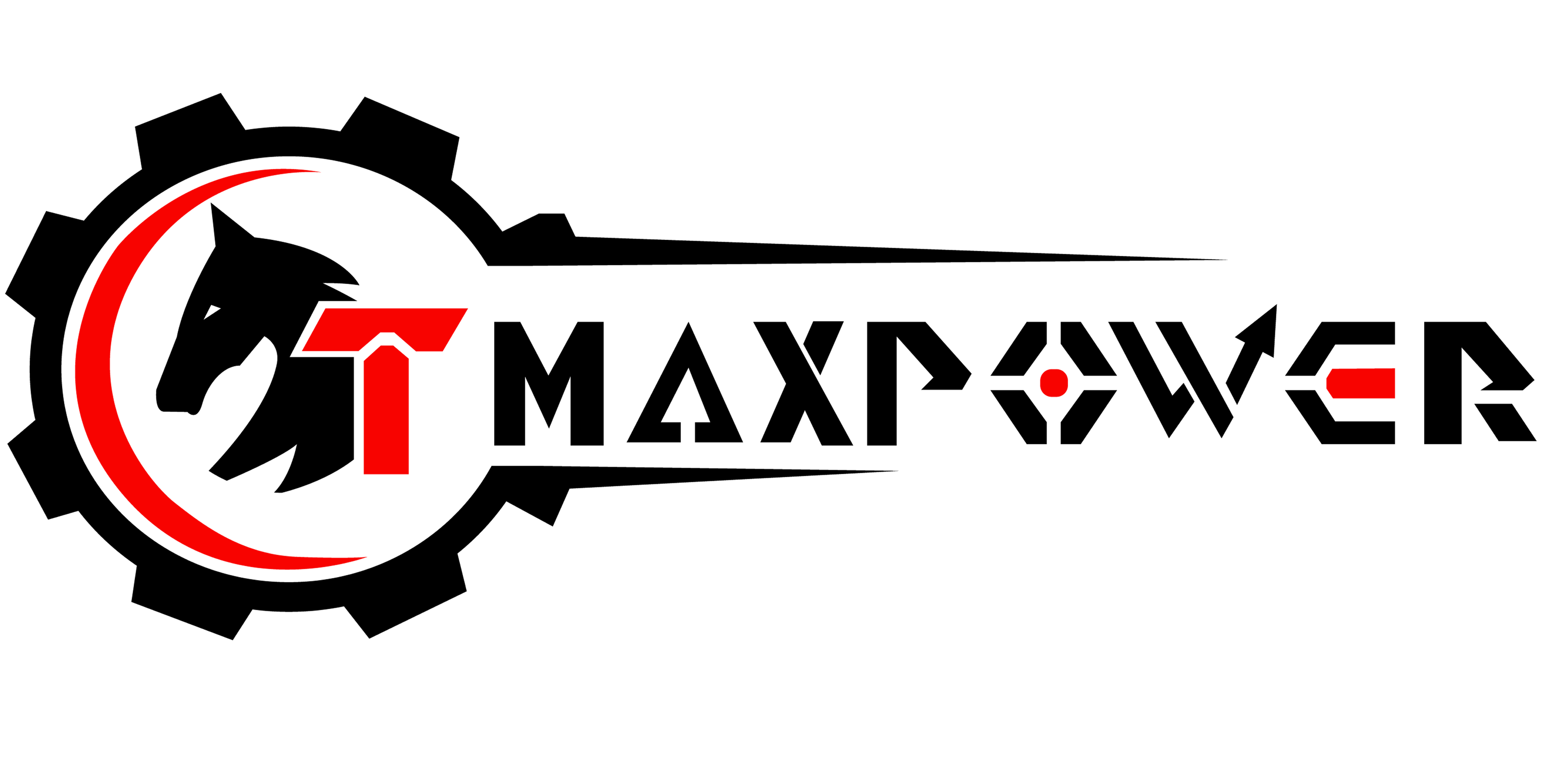 FUZHOU TEAMAX POWER TECHNOLOGY CO.,LTD